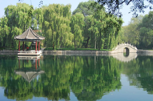 教育獵頭如何助力濰坊地區私立學校招聘到優秀教師